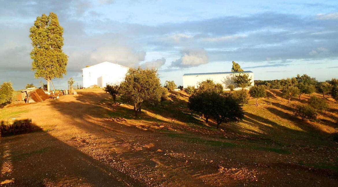 682_fincas-en-venta-73