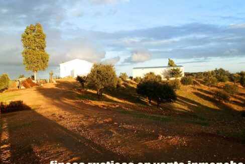 682_fincas-en-venta-73