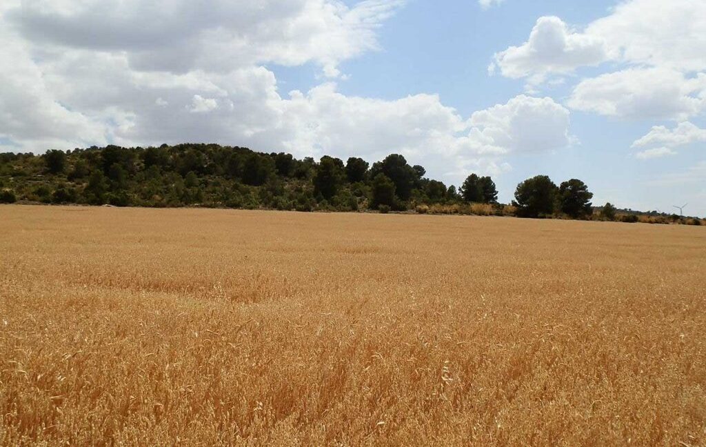 684_fincas-en-venta-002