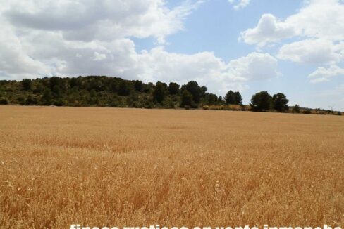 684_fincas-en-venta-002