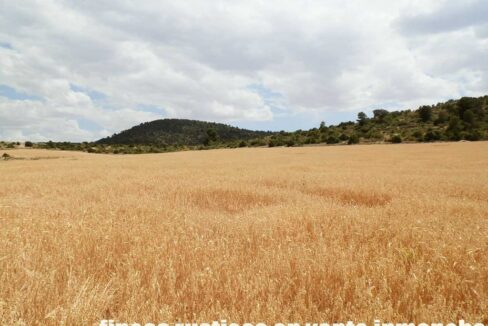 684_fincas-en-venta-003