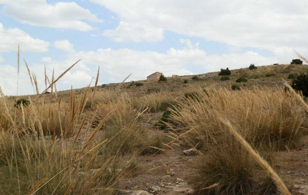684_fincas-en-venta-007