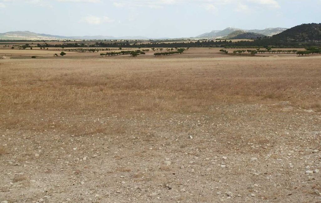 684_fincas-en-venta-008