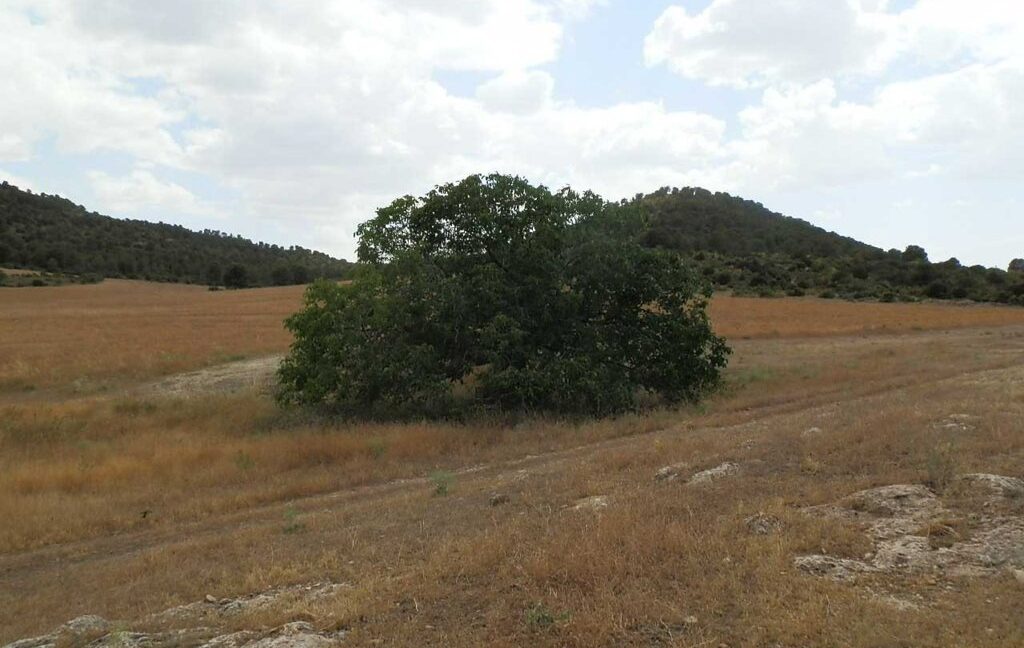 684_fincas-en-venta-013