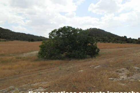 684_fincas-en-venta-013