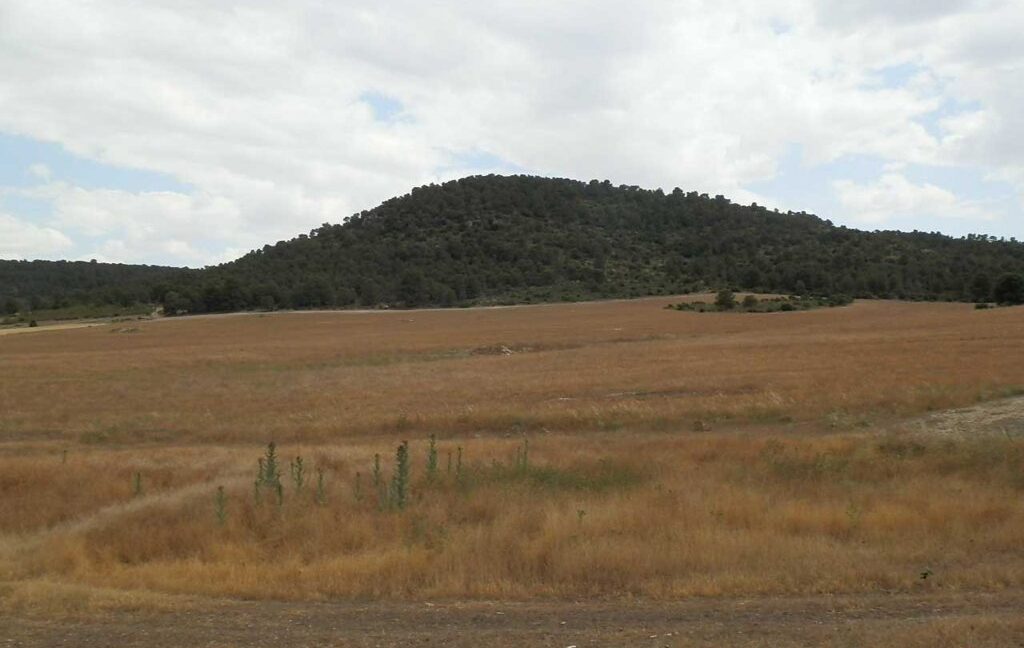 684_fincas-en-venta-014