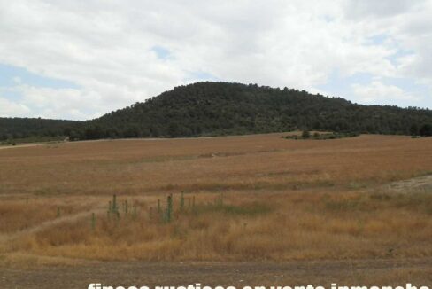 684_fincas-en-venta-014