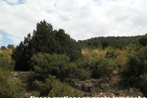 684_fincas-en-venta-016