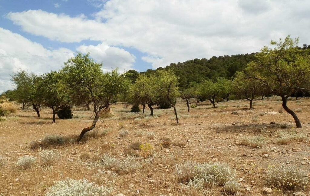 684_fincas-en-venta-017