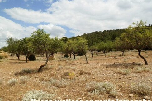 684_fincas-en-venta-017