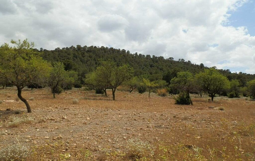 684_fincas-en-venta-018