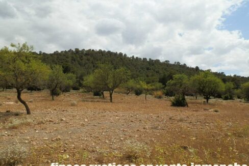 684_fincas-en-venta-018