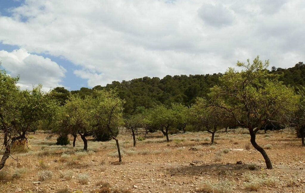 684_fincas-en-venta-019