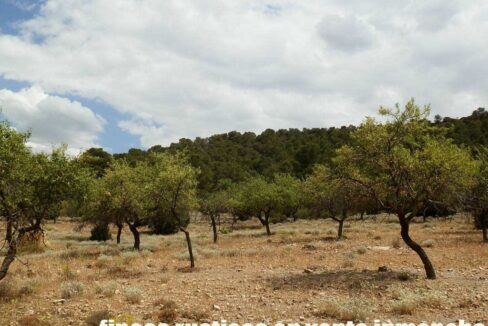 684_fincas-en-venta-019