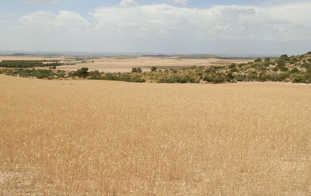 684_fincas-en-venta-020