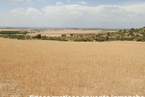 684_fincas-en-venta-020