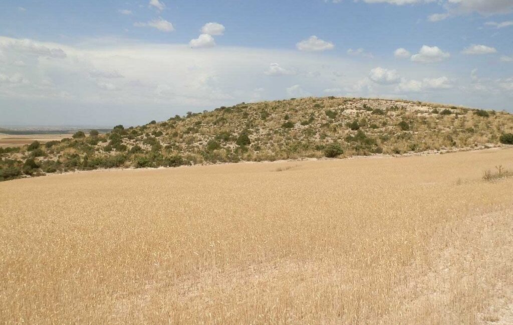 684_fincas-en-venta-021