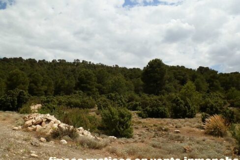 684_fincas-en-venta-022