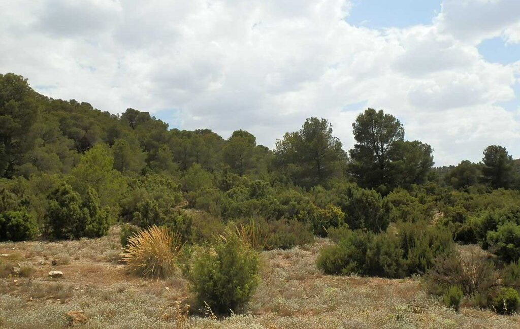 684_fincas-en-venta-023