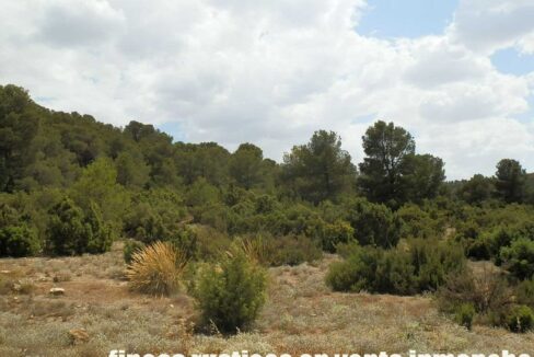 684_fincas-en-venta-023