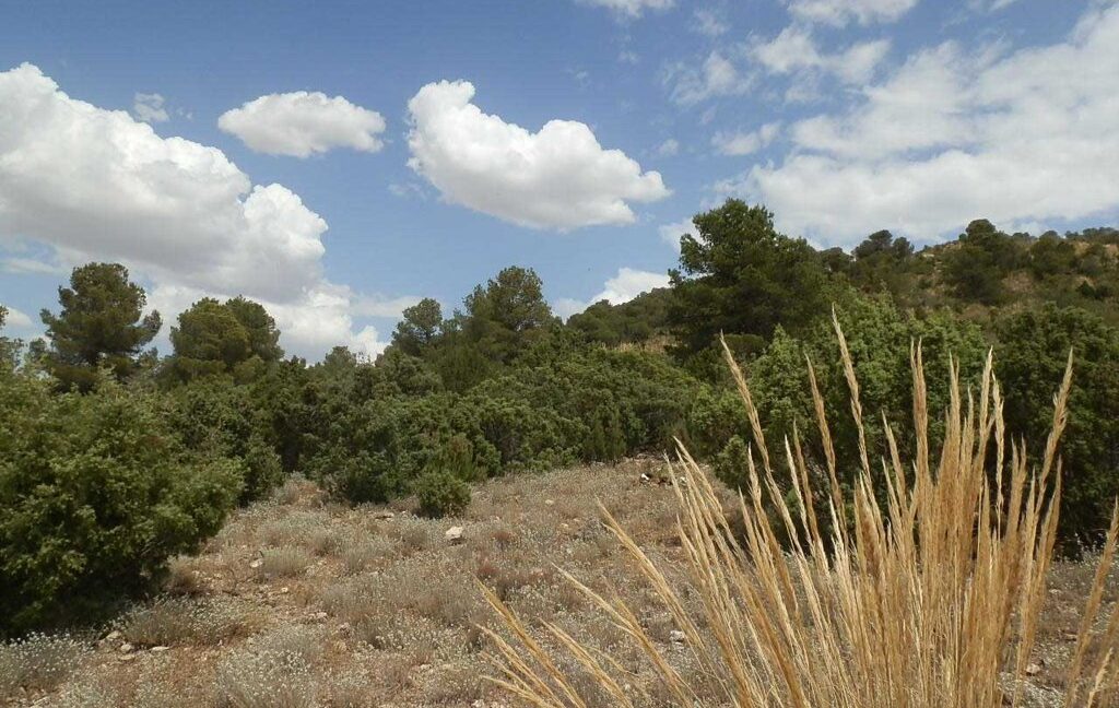 684_fincas-en-venta-024
