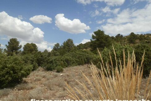 684_fincas-en-venta-024