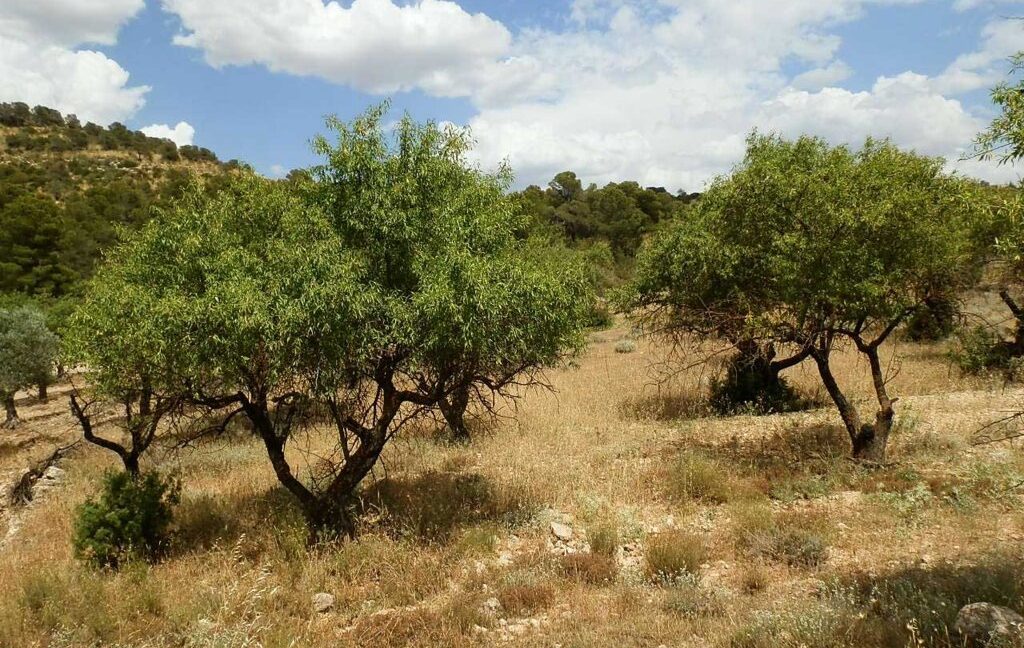 684_fincas-en-venta-026