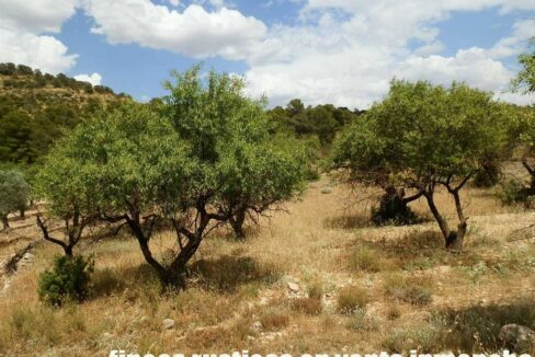 684_fincas-en-venta-026