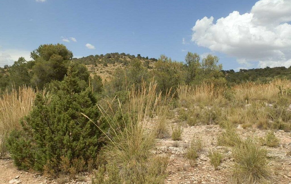 684_fincas-en-venta-027