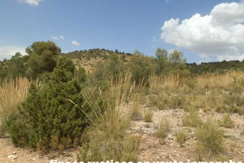 684_fincas-en-venta-027
