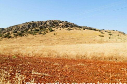 685_fincas-en-venta-044