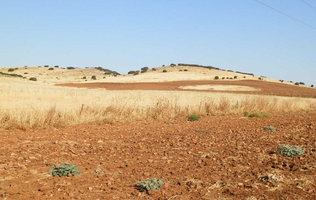 685_fincas-en-venta-046