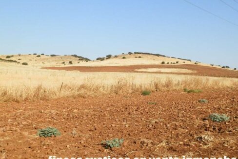 685_fincas-en-venta-046