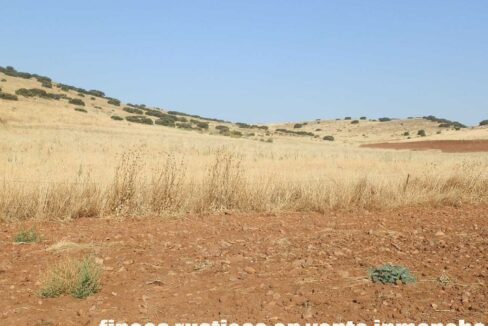 685_fincas-en-venta-047
