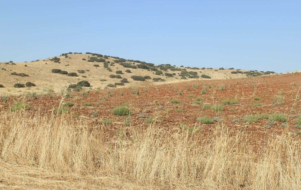 685_fincas-en-venta-048
