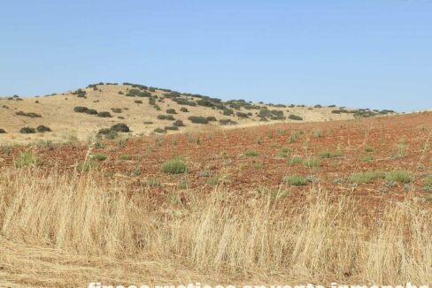 685_fincas-en-venta-048