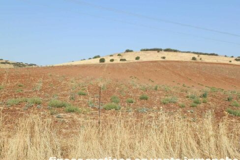 685_fincas-en-venta-049