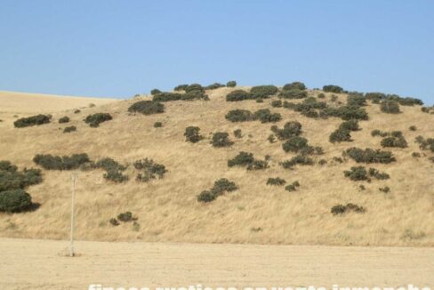 685_fincas-en-venta-052
