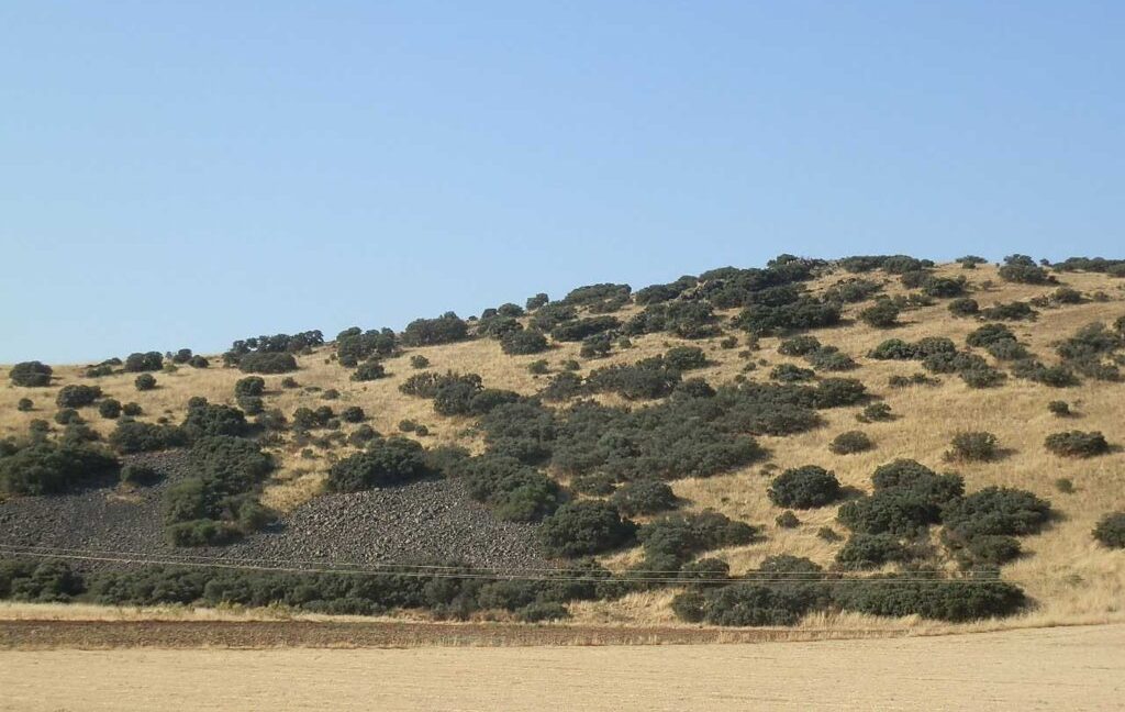 685_fincas-en-venta-053