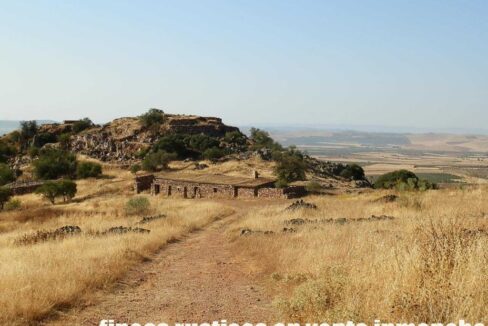 685_fincas-en-venta-059