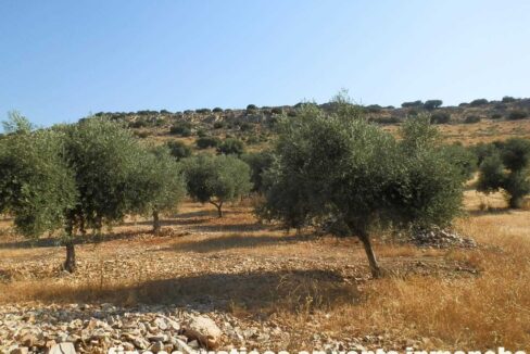 685_fincas-en-venta-062
