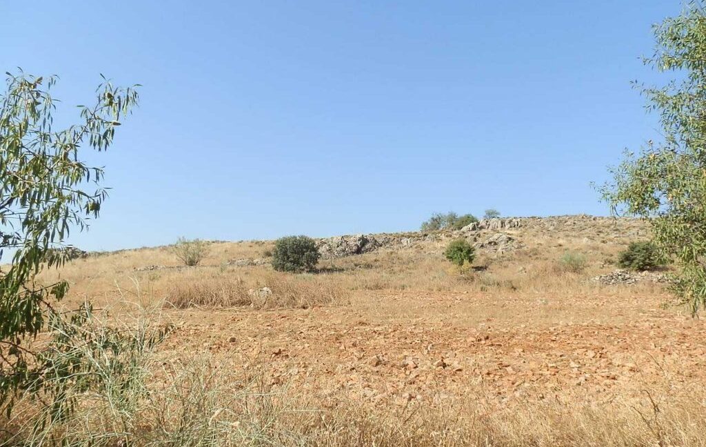 685_fincas-en-venta-064