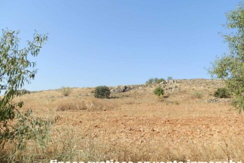 685_fincas-en-venta-064