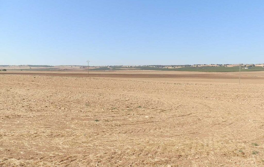 686_fincas-en-venta-02