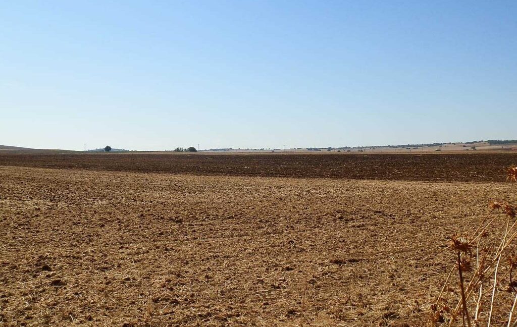 686_fincas-en-venta-05