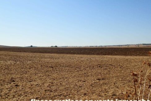 686_fincas-en-venta-05