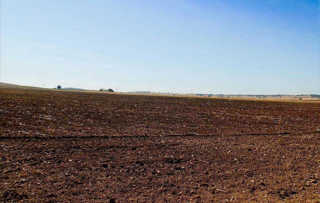686_fincas-en-venta-06