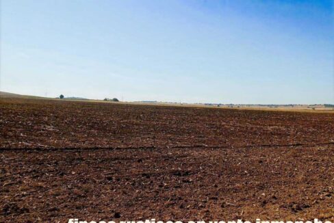 686_fincas-en-venta-06