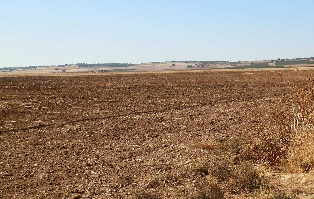 686_fincas-en-venta-08