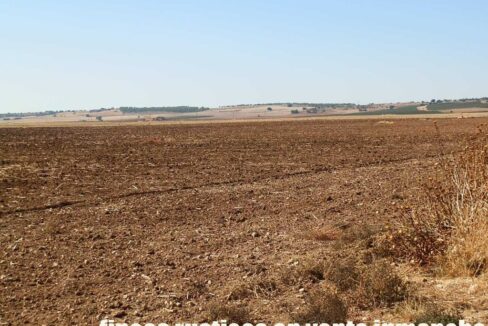 686_fincas-en-venta-08